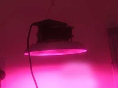 ФИТО-ЛАМПА светильник 100w