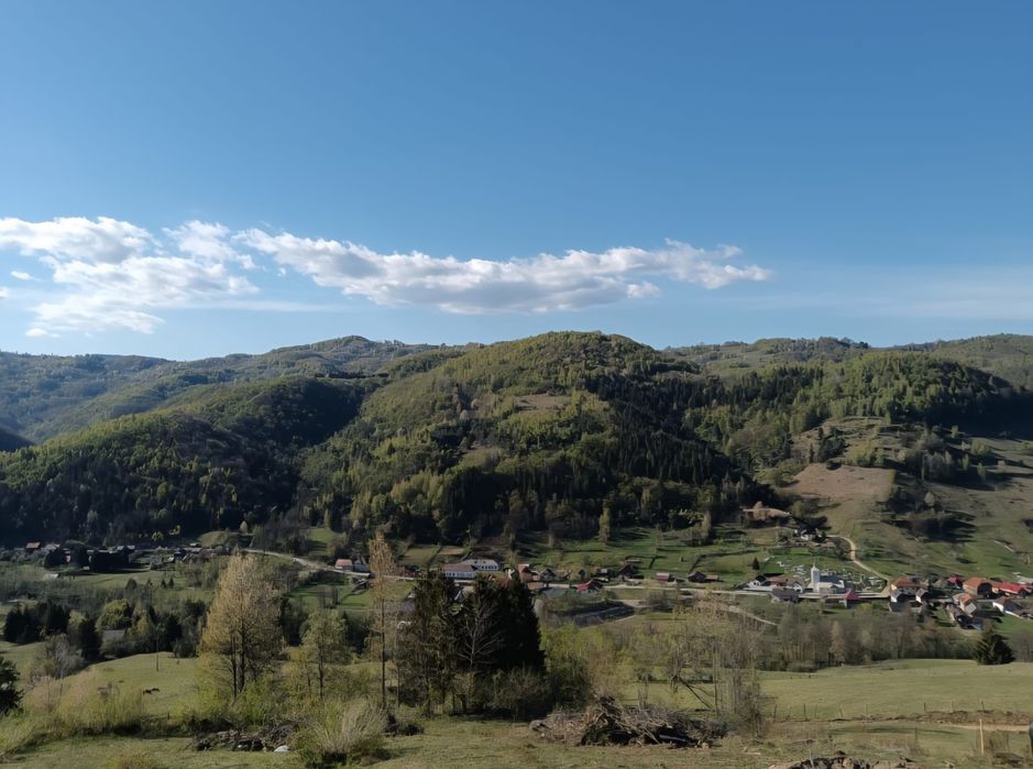 Cabana A-Frame Vidra Cascada de Închiriat