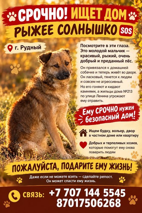 Отдам в хорошие руки