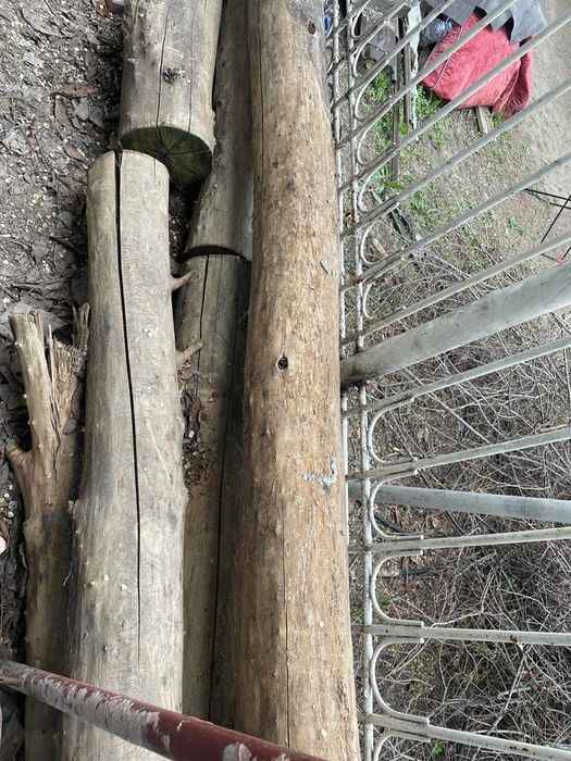 Продам брёвна карагач,сухой