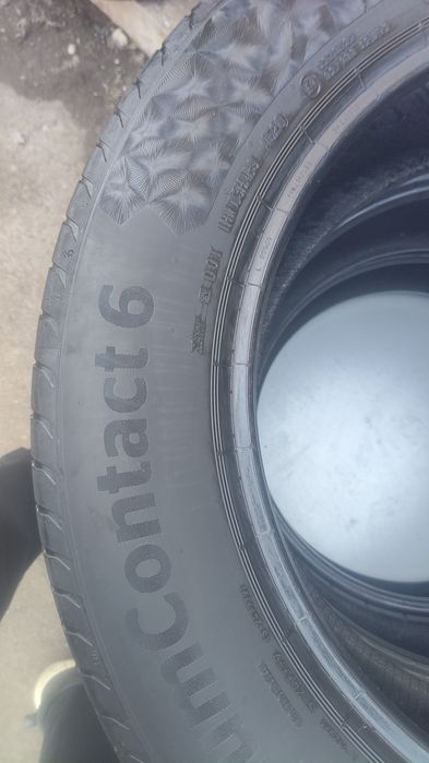 Шины континента ль лето