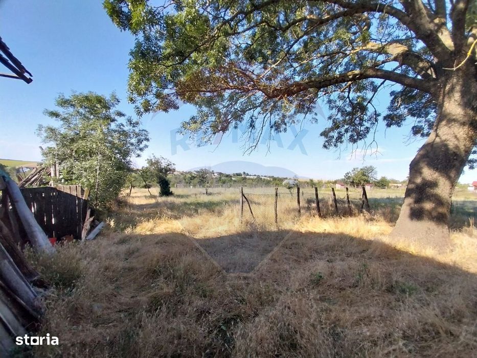 Casă / Vilă de vânzare in Bucovat, Sarbatoarea