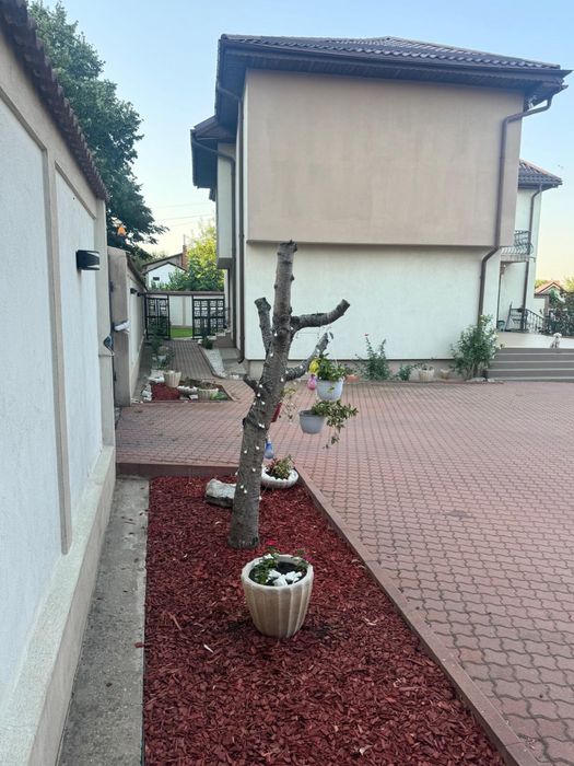 Casa Lapus Arges Rovine