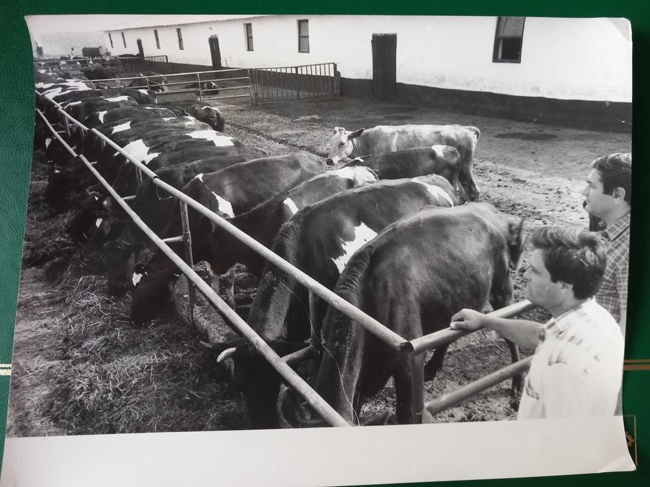 Fotografii originale mari din perioada comunistă
