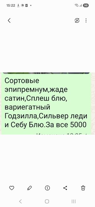 Набор эпипремнумов