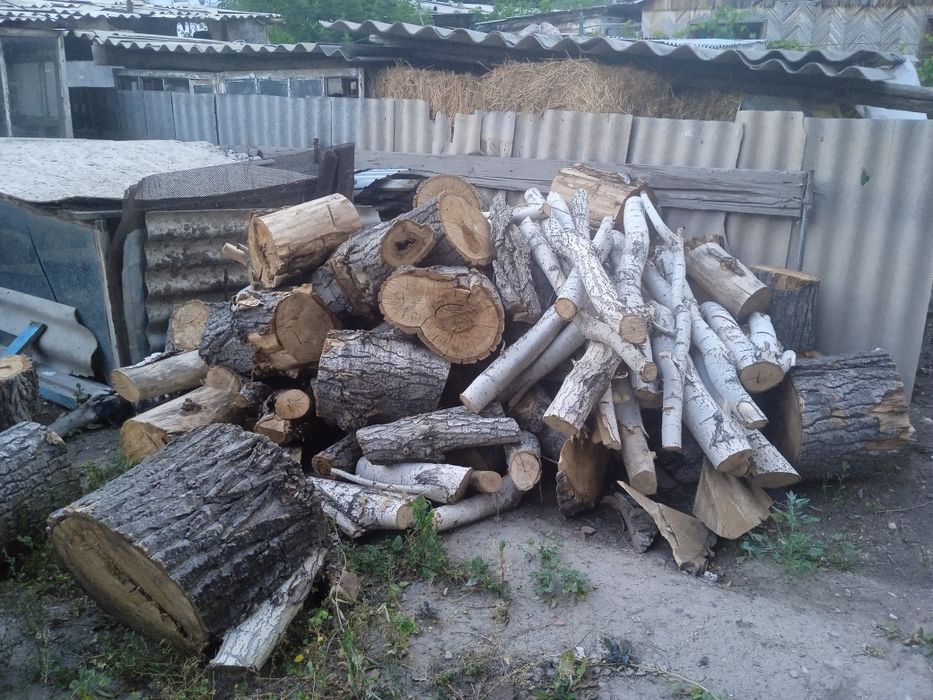 Дрова.    пеньки