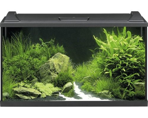 Acvariu EHEIM aquapro 126 cu iluminare LED, filtru, încălzitor, si Filtru exterior acvariu JBL CristalProfi e902 greenline