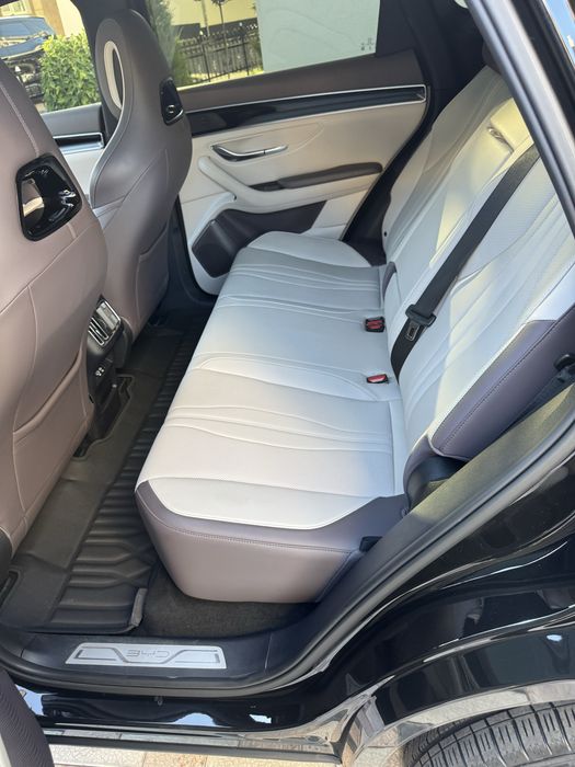 Byd chempion smart