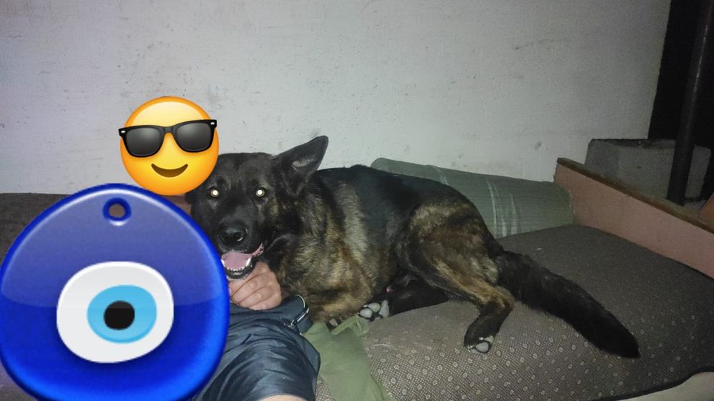 Ищем подружку для хорошего кабеля