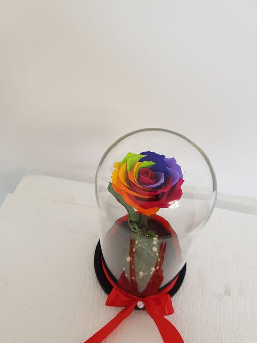 Trandafir criogenat 25 cm multicolor