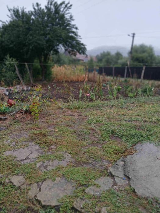 Oportunitate în Saschiz! Casă 67 mp + construcție secundară | 4 ari te