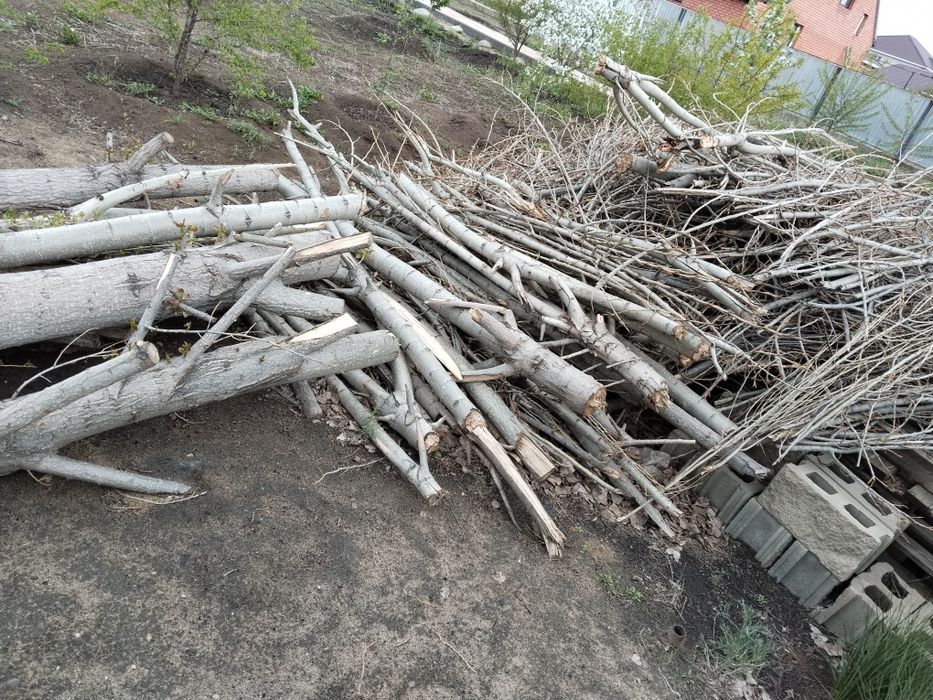 Отдам дрова даром