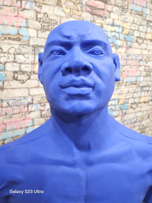 Герман Груша Тренировочный снаряд