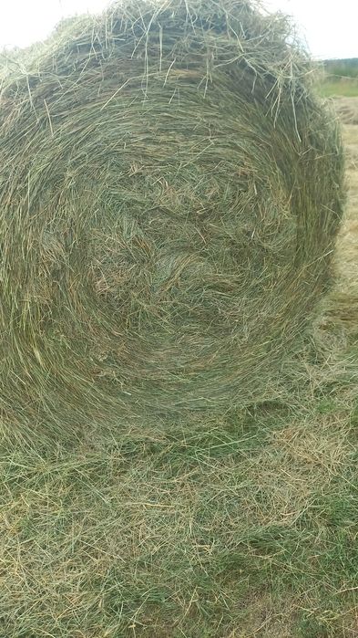 Продам сено 350-370кг