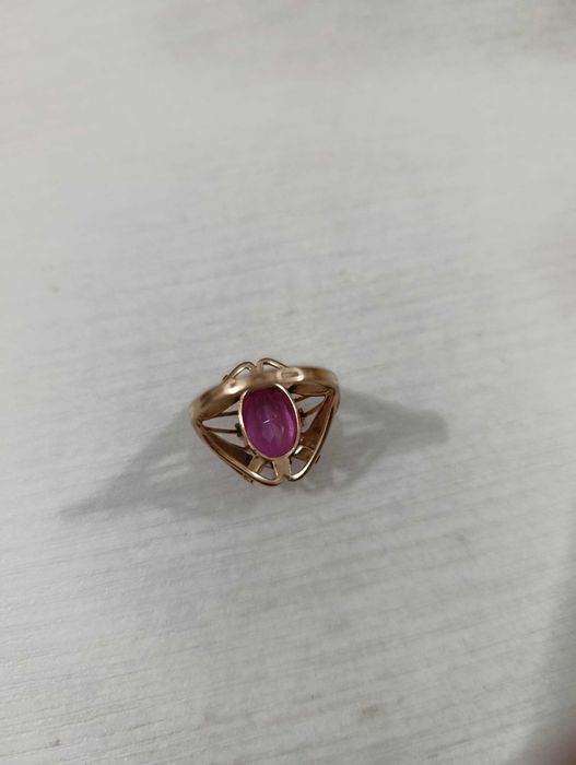 Золотое кольцо жук