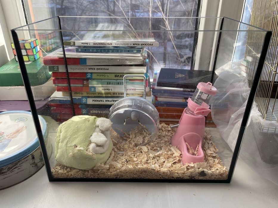 Аквариум продам