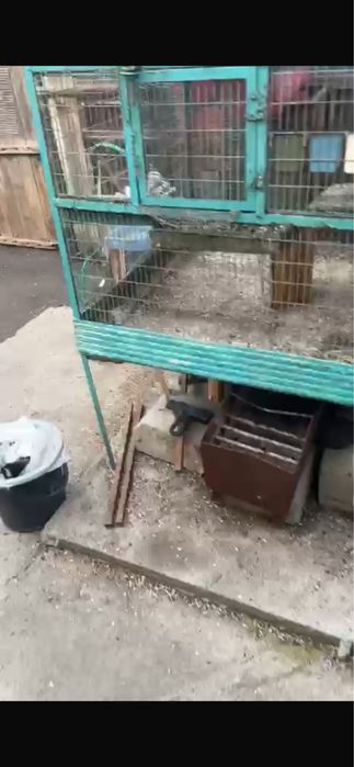 Продам птичий Валер