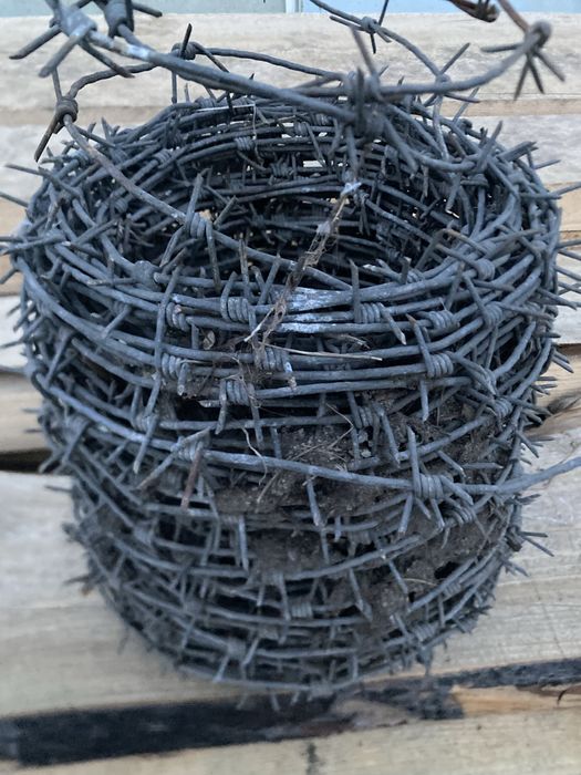 Колючая проволка