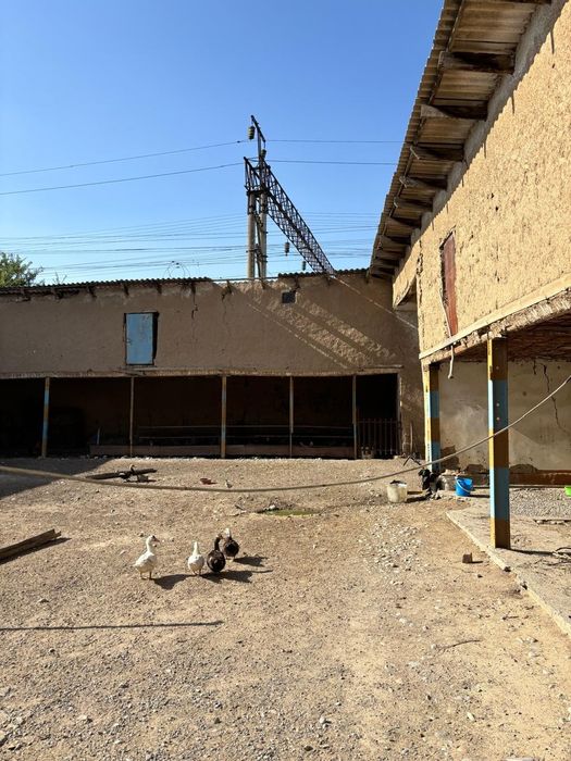 Сарай продается 8 соток