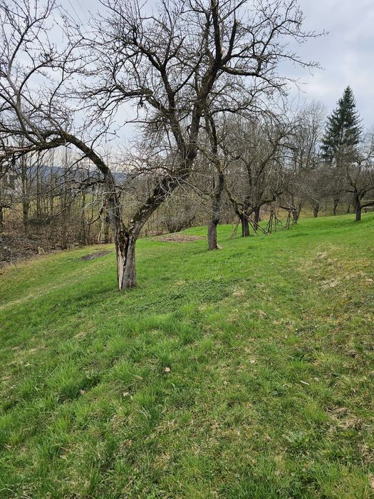 Casa si teren Viseu de Miljoc