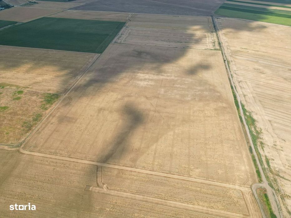 Teren de 664.865 mp Murighiol, județul Tulcea