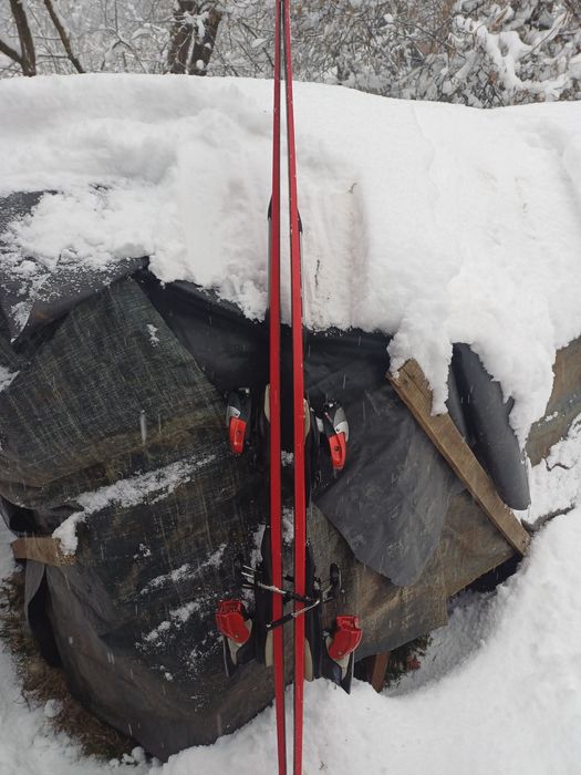 Schiuri salomon automate