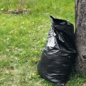 Curățenie prin curte