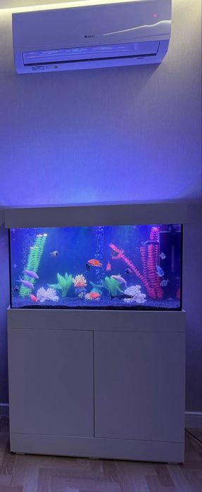 Akvarium sotiladi