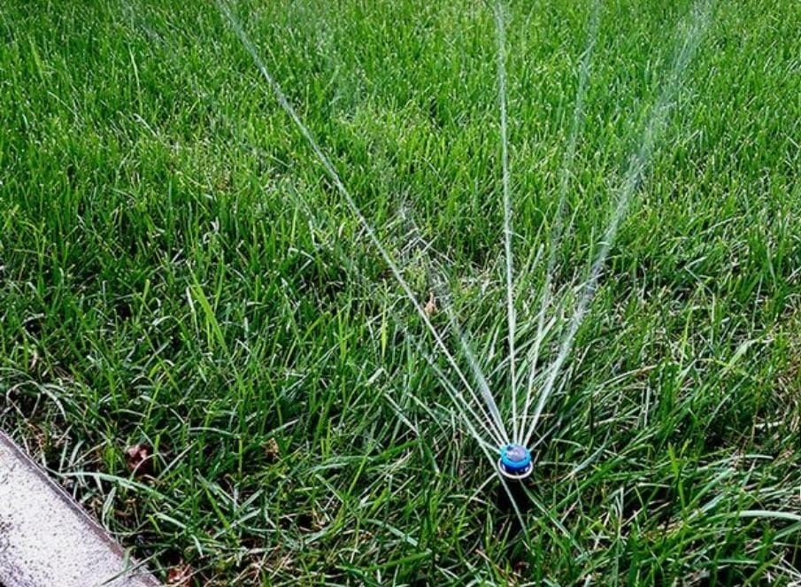 Автополив, для газона