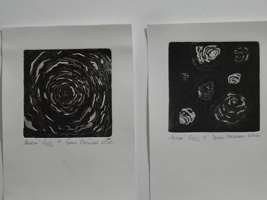 Графика С3/С5 техника