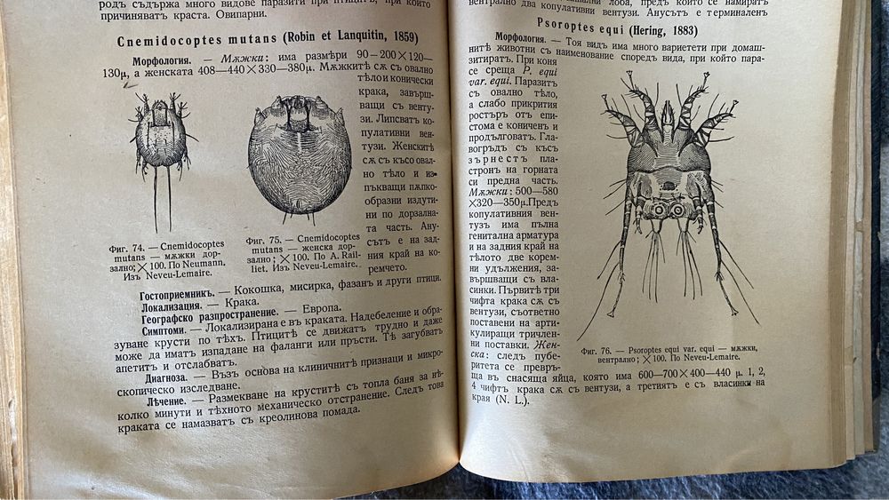 Антикварна книга Пчеларство/Ветеринарство