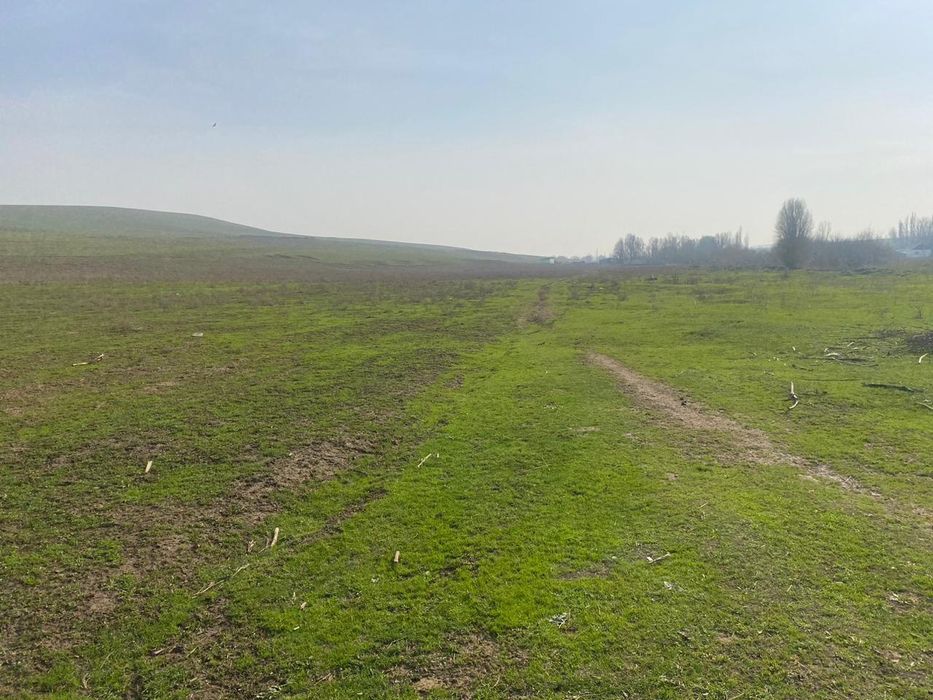 Участок жайылым жер