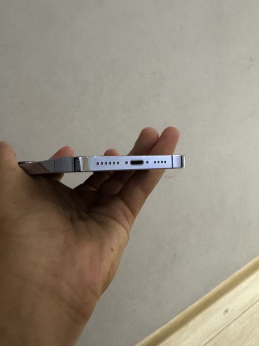 IPHONE 13 Pro Max ideall