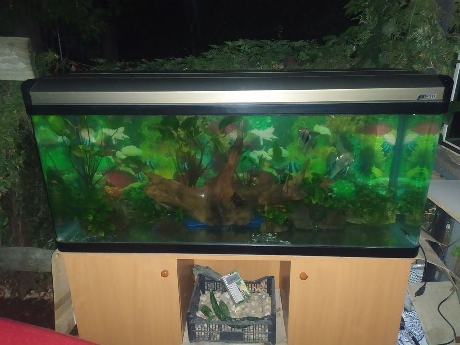 Заводской аквариум 440л .