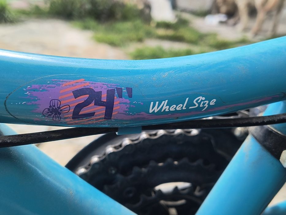 Детски велосипед Cross Alissa 24