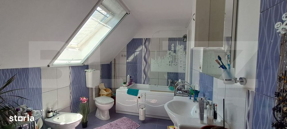 Conac modern cu sauna, ciubar si sera, 1.500 mp gradina – sat Dridif