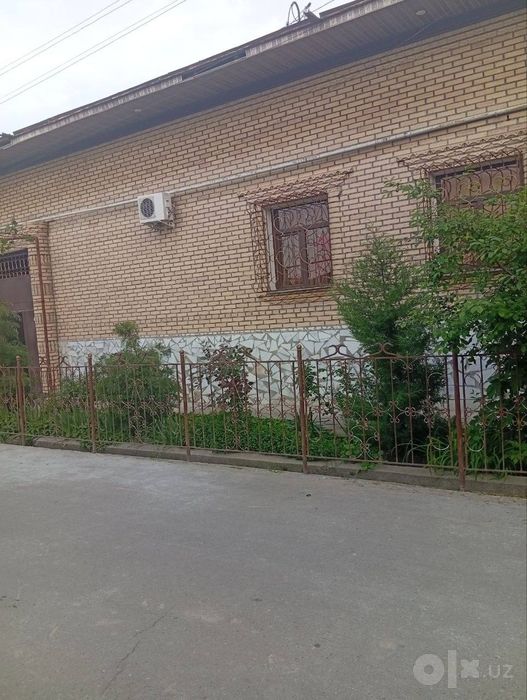Зангиота туманида ховли сотилади