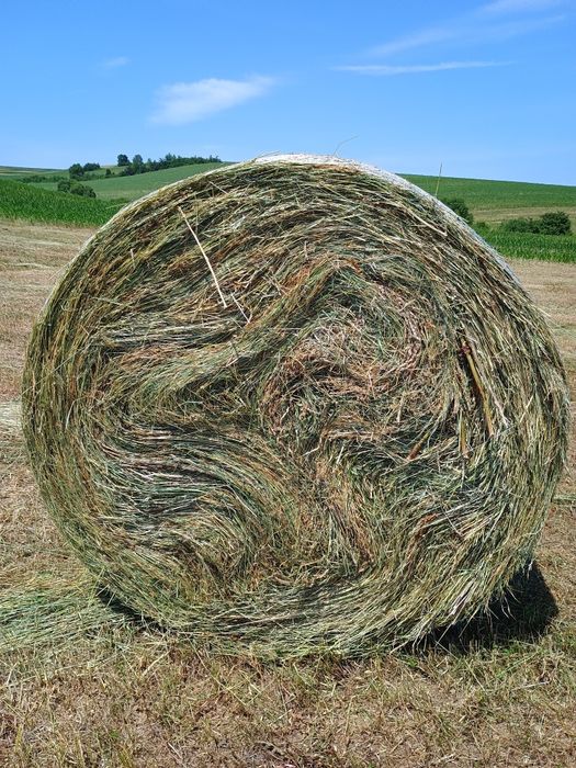 Baloți dreptunghiulari rotunzi