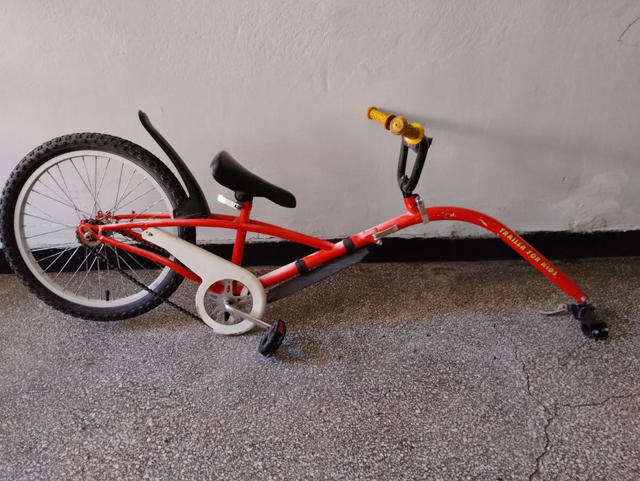 Remorca bicicleta copii