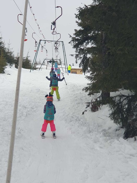 Scoala schi, Scoala ski