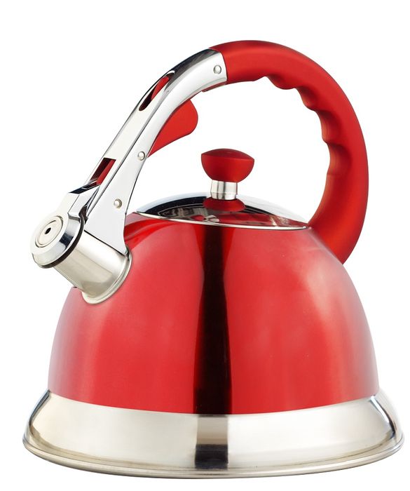 Чайник со свистком Topfann