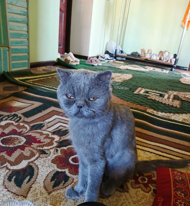 Rus ginekologik spekuly porno