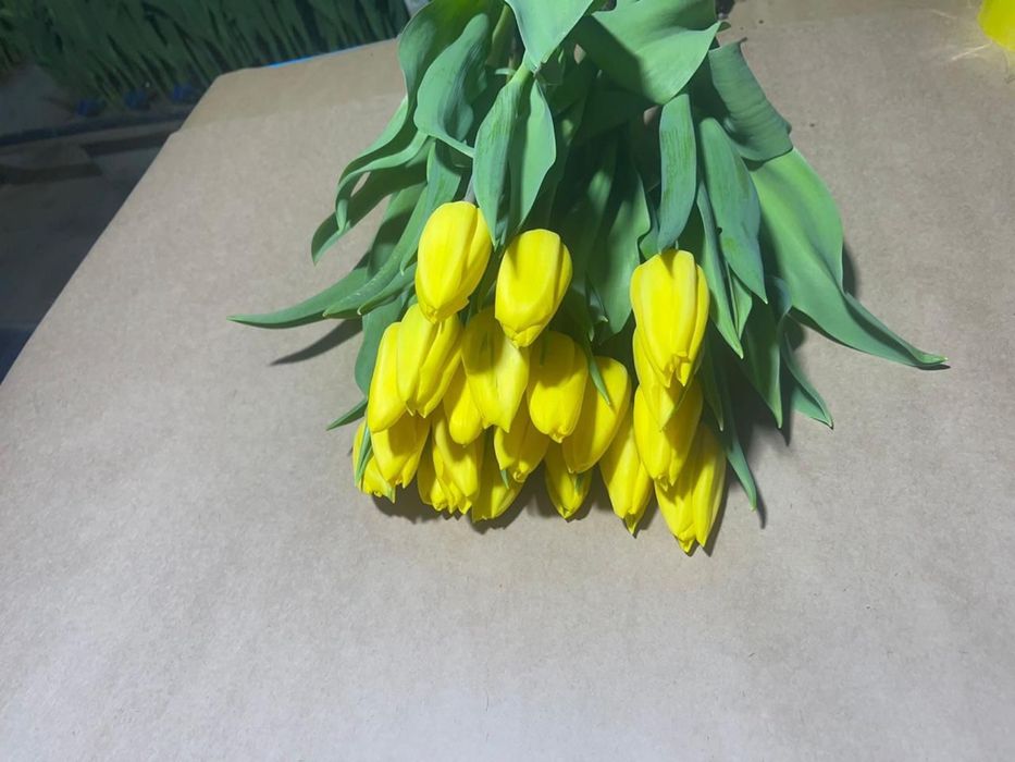 Цветы букеты т ю л ь п а н