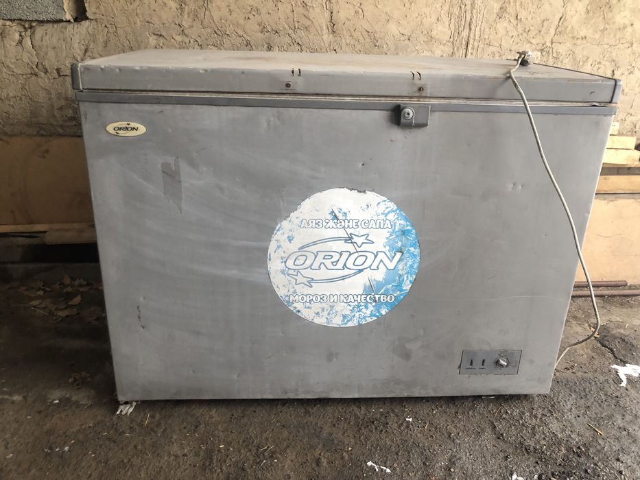 Маразильник орион