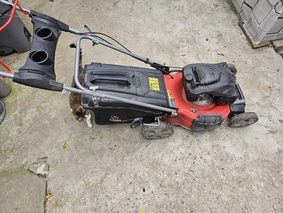 Vand 2 masini de gazon honda una este noua