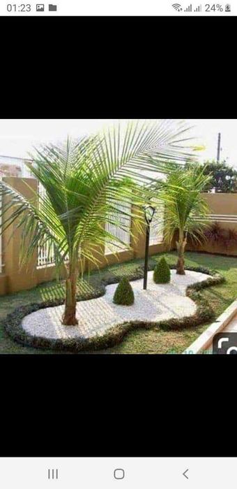 Grădini Unice – Plante Selecte, Gazon Dens și Detalii Decorative!