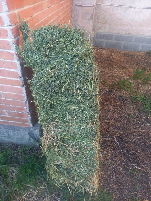 Vand baloti de lucerca