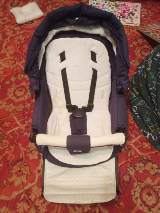 Adamex aspena коляска 3 в 1