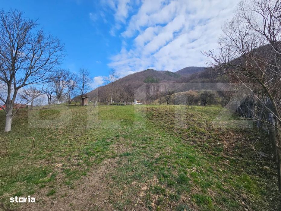 Teren intravilan generos de 4000 mp, cu priveliste montana, Cugir