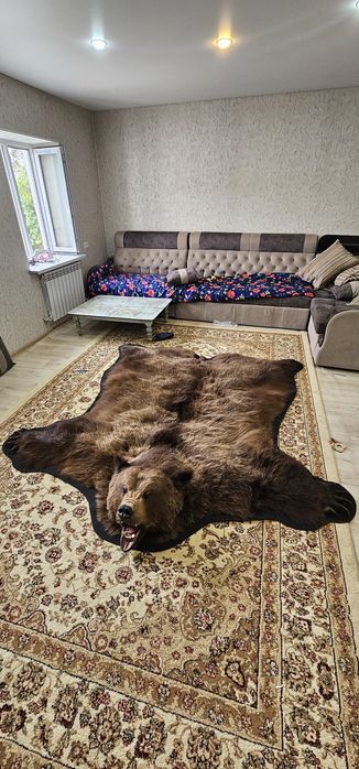 Продам чучело медведя